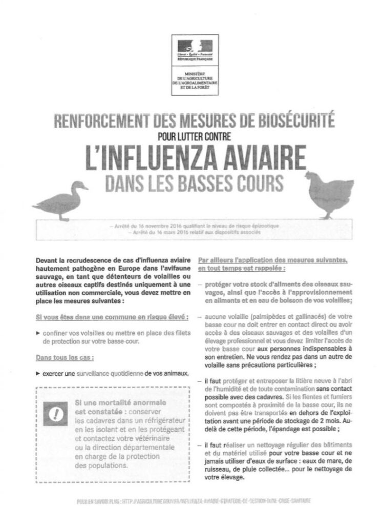 Renforcement des mesures de biosécurite pour lutter contre l'influenza aviaire dans les basses cours.