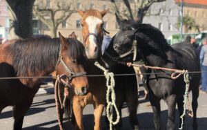 Foire aux chevaux de Labégude @ Place des écoles 07200 Labégude