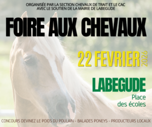 Foire aux chevaux @ Place des écoles - Labégude